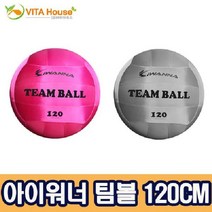 V 아이워너 팀볼 120CM 2종 택1 학교 체육 놀이 킨볼