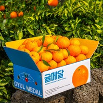 당도엄선 제주 카라향, 선물세트, 3kg