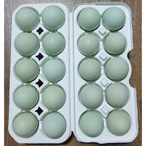 청란 난각번호1번 산지직송 자연방목 청란 청계란 유정란 식용란 [20란 40란 60란], 20개, 1400g