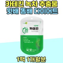 카테킨 일주일 2주 윗배 똥배 빼는법 녹차 추출물 분말 중년 다이어트 항산화 결혼 웨딩 예신 바프 팔뚝살 얼굴살 피하지방 빼는법 40대 50대 콜레스테롤 관리 날씬한 몸매 어머니 회사원 식이섬유