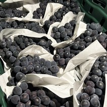 알아주는 경산 머루 포도 1kg내외 (실중량) / 산지에서 바로 보내드려요, 1개