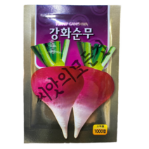 순무 씨앗 1000립 토종의 맛을 그대로 간직하며 건강에 좋은 순무씨앗 미래종묘