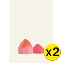 [영국발송] 2팩 THE BODY SHOP 더 바디 샵 Lip Juicers PASSIONFRUIT & CARROT 립 쥬서 패션프룻 & 캐롯 4g