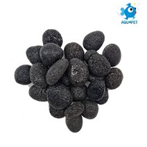 아쿠아펫 라바에그스톤 블랙 1kg/2kg, 소(20~30mm), 2kg