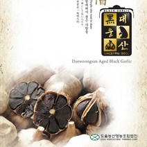 대웅산 흑마늘 선물용 500g 남해산 생 통흑마늘 시세 종류, 대웅산 흑마늘 250g x 2, 2개