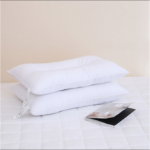 에이프릴앳홈 피톤치드 경추 베개2P 40X60cm 코스트코