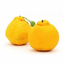 바른식탁 선물용 한라봉 2.5kg 소과(17-20과 내외), 1