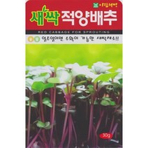 AR 새싹적양배추 소포장 씨앗 30g, 상세페이지 참조