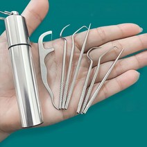 치아 세정기 직수 잇몸 마사지기 구강 수압 칫솔 개대 스테인레스 스틸 이쑤시개, b