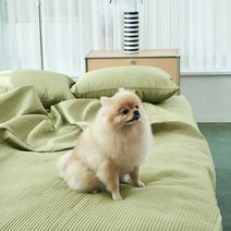 반려동물 알러지케어 나란히 스프레드, 카키