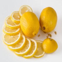 [특급] 레몬2KG 레몬 레몬즙 레몬수 레몬차 레몬청만들기 레몬나무, 2KG