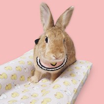 반려 동물 턱받침 A 소 애견 스카프 고양이 스카프옷 토끼 강아지 목줄 방울, 반려동물 턱받침 A 소