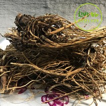 국산 엉겅퀴뿌리 대계근 300g, 1개