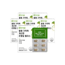 장대원 혈행 기억력 개선엔 은행잎 플러스(6박스/6개월분), 16.5g/550mg/30정, 은행잎 플러스 6박스