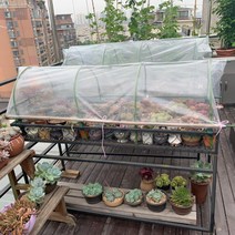 다육이겨울나기 미니온실 비닐하우스 베란다 옥상 식물 보온 조립식 화분 덮개 월동 바람막이, 길이 180 폭 50 높이 47 cm