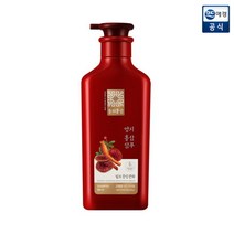 동의홍삼 영지홍삼 탈모샴푸 500ml, 2개