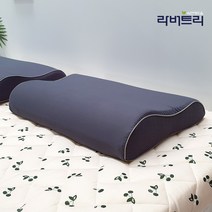 라버트리 성인용 베개커버 소형 모음