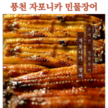 풍천장어 민물장어 장어1kg 자포니카 민물장어구이 집에서장어구이 장어덮밥 국산 ﻿﻿, 자포니카장어 1kg, 1개