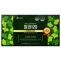 jw중외제약 징코240(120캡슐)-4개월분, 20박스, 120정