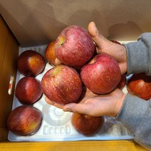 못난이 경북 꿀 사과 3kg 5kg 10kg, 중과(로얄) (16-18과)5kg