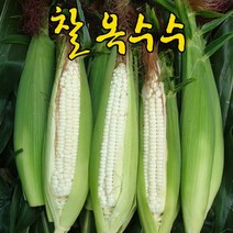 (인빌푸드)(예약)강원도 술빛愛 미백 찰옥수수 30개, 단품
