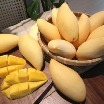 스테비아급 태국골드망고 백화점납품급, 2.5kg (5-8과)