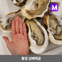 메디머스 100% 통영 삼배체굴 각굴 통굴 / 최상급 명품굴 1kg~10kg, 1kg, 1개