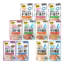 아이시아 건강캔파우치 40g x 12개 고양이 간식, 1개, 오랄케어 참치 페이스트