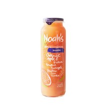 노아주스 오렌지 구아바 포포열매 260ml 12병