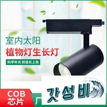 등 풀스펙트럼 원예 꽃집 다육보광등 벽 레일등, 20w [블랙 ] 6000K