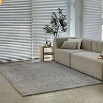 샤이닝홈 사계절 고급 호텔용 심플 거실카페트 모음, 01.글렌 거실카페트_170x230다크그레이