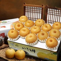 소담촌 나주배 7.5kg(가정용), 빠른발송, 7.5kg(13~15과)가정용, 1개