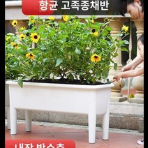 킹마이크로 플라스틱 항균 고족종 채소 화분/대 4세트 베란다 직사각 재함 하이풋 종채 야채 식재용, 단품