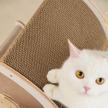 펫트리움 원목 미니 고양이 캣타워 리필용 스크래쳐, 단품