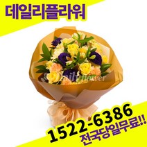 노랑장미혼합 꽃다발 생일 출산 졸업 프로포즈 기념일 고백 전국 꽃배달서비스 당일 배송