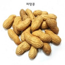 피땅콩 - 겉껍질이 있는 땅콩 500g
