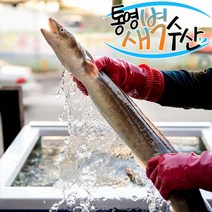 통영 자연산 손질 바다장어 1kg(1~2미)비교불가 사이즈, 장어 1kg, 특중, 포함, 1개