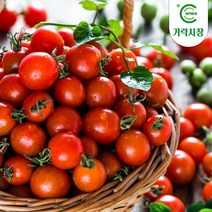 온도씨 [온도씨]가락시장 방울토마토(500g) 공유하기 페이스북 트위터 닫기