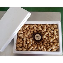 골뱅이형 생 초석잠 1kg(일반)