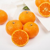 [감동] 귤로향(벌크박스), 1box, 2kg 대과 8-13과 내외 2개구매 500g증정