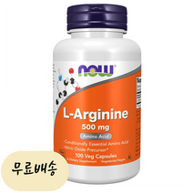 L-아르기닌 500 mg 100개입 [미국 직배송], 1개, 100개