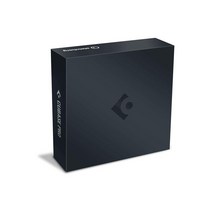 스테인버그 큐베이스 프로11 CUBASE PRO 11 일반용