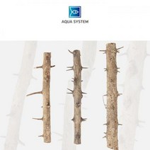 [아쿠아시스템] 천연 네추럴 가시나무 가지유목