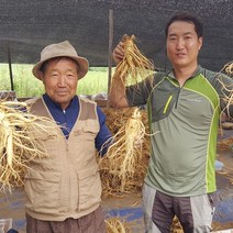 풍기인삼 실속형 수삼 설선물세트 설명절 선물용 인삼, 1세트, 삼쟁이 실속형 금장채반