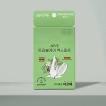 아르페 트러블케어 엑스퍼트 트러블패치 (8파우치 / 16패치), 1개, 16매