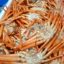 [팜스토리푸드] 당일조업 육수용 연지홍게 3KG ( 8-12미내외), 상세 설명 참조