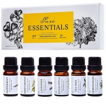 Pure Essentials 에센셜 오일 순수 오일 키트 - 탑 6 아로마테라피 오일 선물 세트 - 6팩 10ML(유칼립투스 라벤더 레몬 그라스 오렌지 페퍼민트 티트리