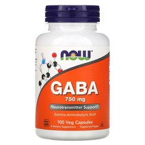 NOW Foods GABA 750mg 100가지 채소 캡슐