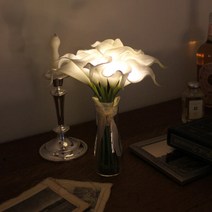 아트박스/비아케이스튜디오 화이트 카라 부케 LED 무드등 (화병포함), 본품