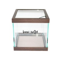 혜미 20cm 큐브어항
